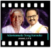 Adaviramudu - Aaresukoboyi - MP3 + VIDEO