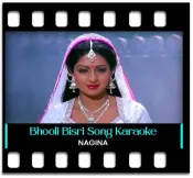 Bhooli Bisri Ek Kahaani - MP3 + VIDEO