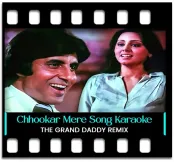 Chhookar Mere Mann Ko (Remix) - MP3