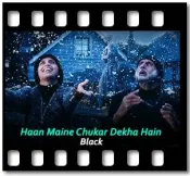 Haan Maine Chukar Dekha Hain - MP3 + VIDEO