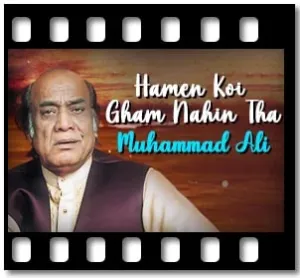 Hamen Koi Gham Nahin Tha Karaoke With Lyrics