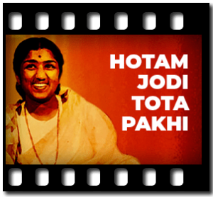 Hotam Jodi Tota Pakhi Karaoke With Lyrics
