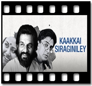 Kaakai Chiraiginilae Nanda laala Karaoke MP3