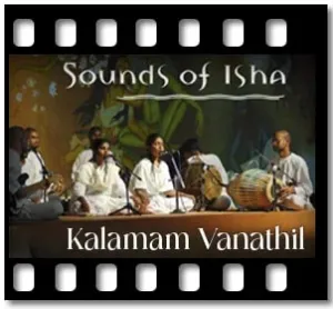 Kalamam Vanathil Karaoke With Lyrics