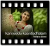 Kannuodu Kaanbadhalam - MP3