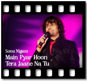 Main Kamsin Hoon Nadan Hoon Karaoke With Lyrics