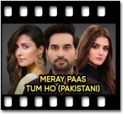 Meray Paas Tum Ho (Pakistani) - MP3 + VIDEO