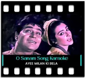 O Sanam Tere Ho Gaye Hum - MP3 + VIDEO