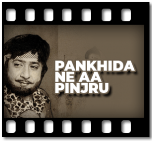 Pankhida Ne Aa Pinjru Karaoke With Lyrics