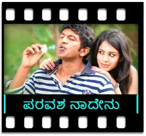 Paravasha Naadenu Karaoke With Lyrics