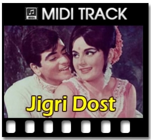 Phool Hai Baharon Ka Bagh Hai  Midi File