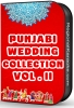 Punjabi - Wedding Collection Vol.2 - MP3
