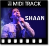 Roop Tera Mastana(Remix) - MIDI