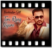 Tere Rang Niyare - MP3 + VIDEO