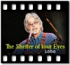 The Shelter of Your Eyes - MP3