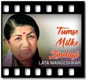 Tumse Milke Zindagi - MP3 + VIDEO